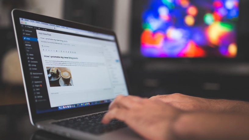 Development and SEO promotion of websites in Moldova